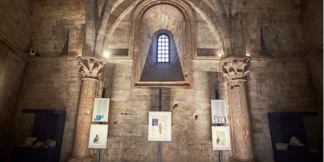 Foto 1 – mostra-De Arte Venandi-Federico II – CDM