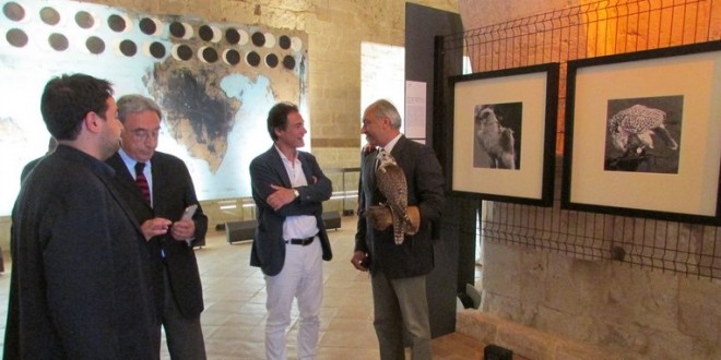 Foto 25 – mostra-De Arte Venandi-Federico II – Bari