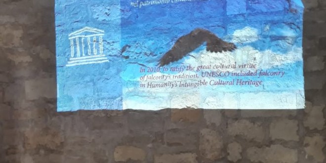 Foto 28 – mostra-De Arte Venandi-Federico II – Trani