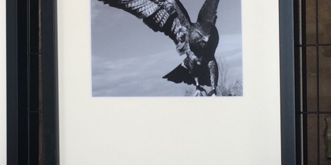 Foto 36 – mostra-De Arte Venandi-Federico II – Trani