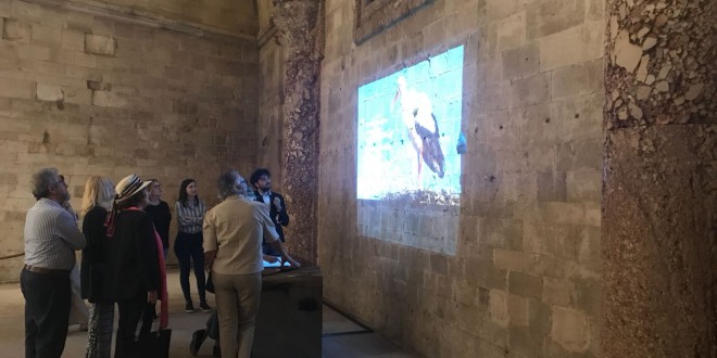Foto 9 – mostra-De Arte Venandi-Federico II – CDM